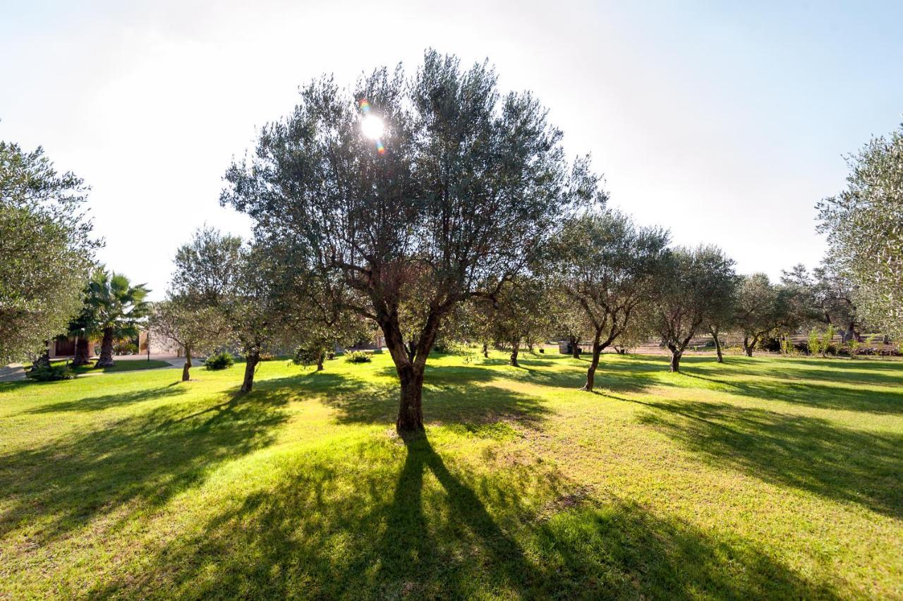 Vila Olive Garden House Borgagne Exteriér fotografie